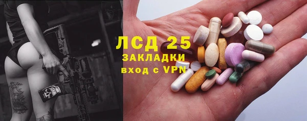 PSILOCYBIN Балахна