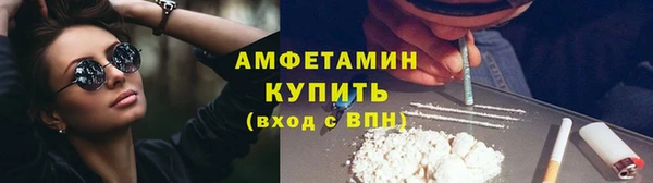 ешки Аркадак