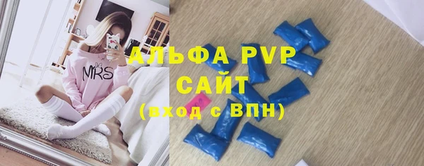 PSILOCYBIN Балахна