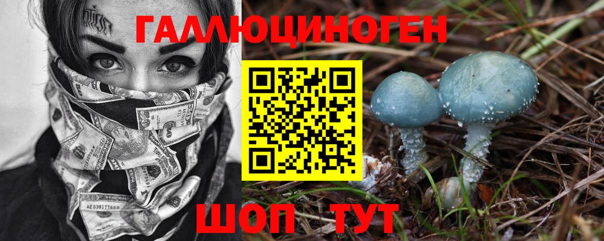 Галлюциногенные грибы Psilocybine cubensis Дзержинск
