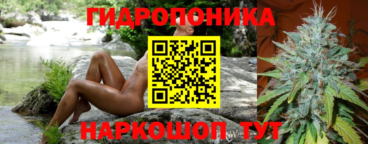 Шишки марихуана LSD WEED  МАРИХУАНА Ganja  Конопля White Widow  Дзержинск  МАРИХУАНА THC 21%  Вход с VPN 